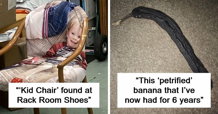 68 Times People Encountered Something So Strange They Had To Share It With The World (New Pics)
