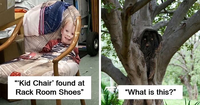 68 Times People Encountered Something So Strange They Had To Share It With The World (New Pics)