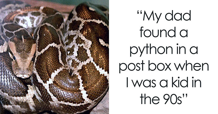 42 Of The Weirdest Packages Mailmen Found In Postboxes Or Had To Deliver