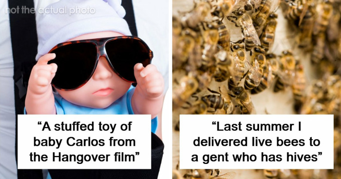 42 Of The Weirdest Packages Mailmen Found In Postboxes Or Had To Deliver