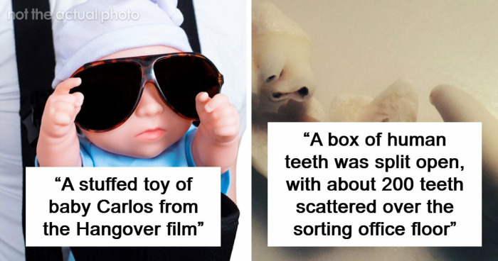42 Of The Weirdest Packages Mailmen Found In Postboxes Or Had To Deliver