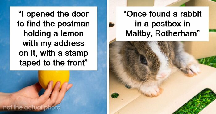 42 Of The Weirdest Packages Mailmen Found In Postboxes Or Had To Deliver