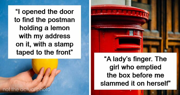 42 Of The Weirdest Packages Mailmen Found In Postboxes Or Had To Deliver