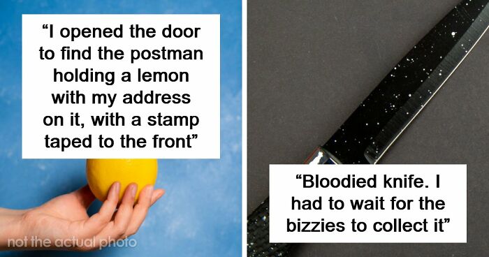 42 Of The Weirdest Packages Mailmen Found In Postboxes Or Had To Deliver