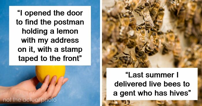 42 Of The Weirdest Packages Mailmen Found In Postboxes Or Had To Deliver