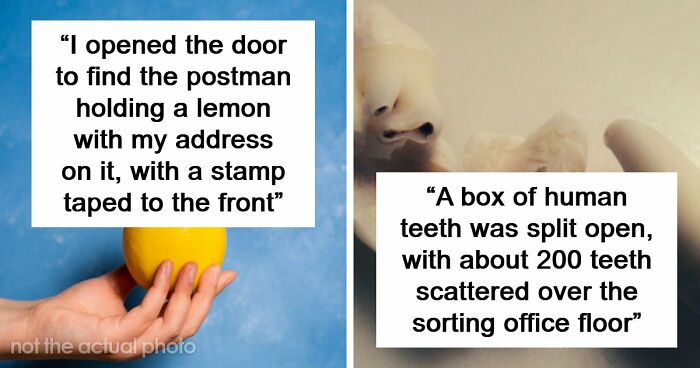 42 Of The Weirdest Packages Mailmen Found In Postboxes Or Had To Deliver