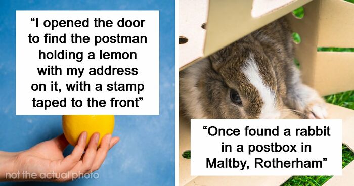 42 Of The Weirdest Packages Mailmen Found In Postboxes Or Had To Deliver