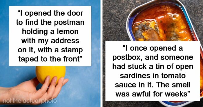 42 Of The Weirdest Packages Mailmen Found In Postboxes Or Had To Deliver