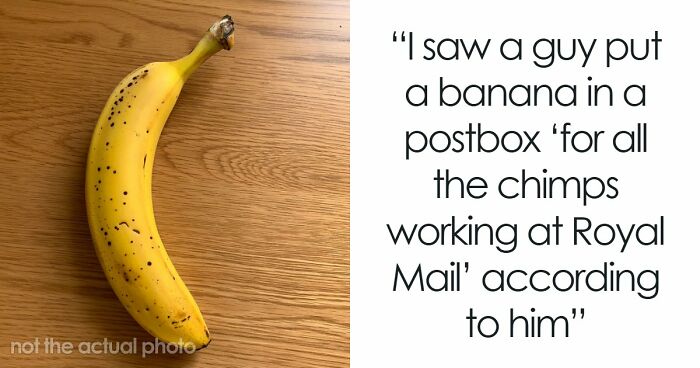 42 Of The Weirdest Packages Mailmen Found In Postboxes Or Had To Deliver