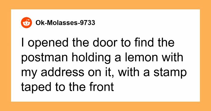 42 Of The Weirdest Packages Mailmen Found In Postboxes Or Had To Deliver