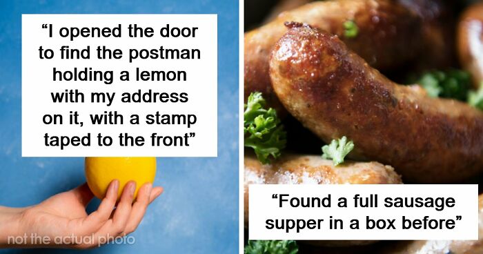42 Of The Weirdest Packages Mailmen Found In Postboxes Or Had To Deliver