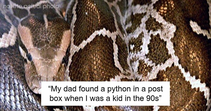 42 Of The Weirdest Packages Mailmen Found In Postboxes Or Had To Deliver