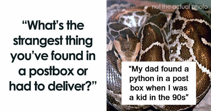 42 Of The Weirdest Packages Mailmen Found In Postboxes Or Had To Deliver