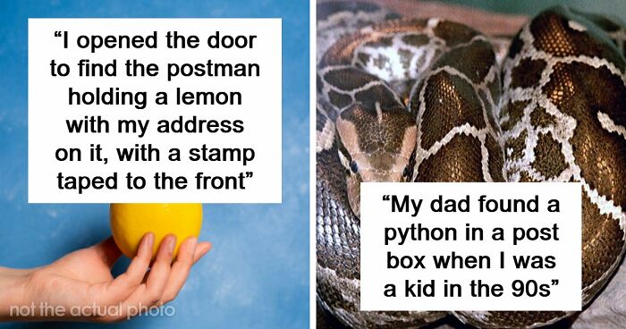 42 Of The Weirdest Packages Mailmen Found In Postboxes Or Had To Deliver