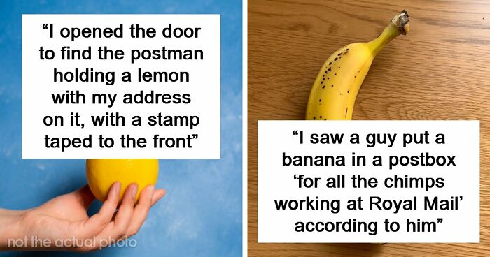 42 Of The Weirdest Packages Mailmen Found In Postboxes Or Had To Deliver