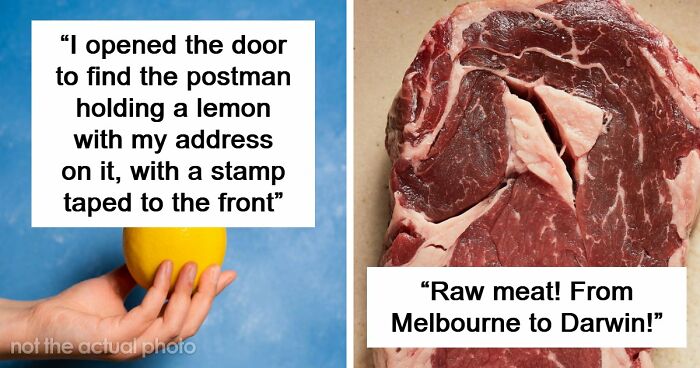 42 Of The Weirdest Packages Mailmen Found In Postboxes Or Had To Deliver