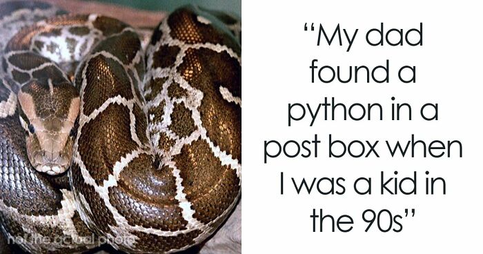 42 Of The Weirdest Packages Mailmen Found In Postboxes Or Had To Deliver