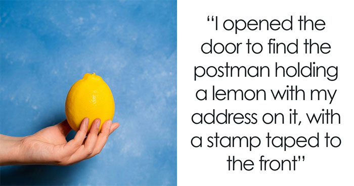 42 Of The Weirdest Packages Mailmen Found In Postboxes Or Had To Deliver
