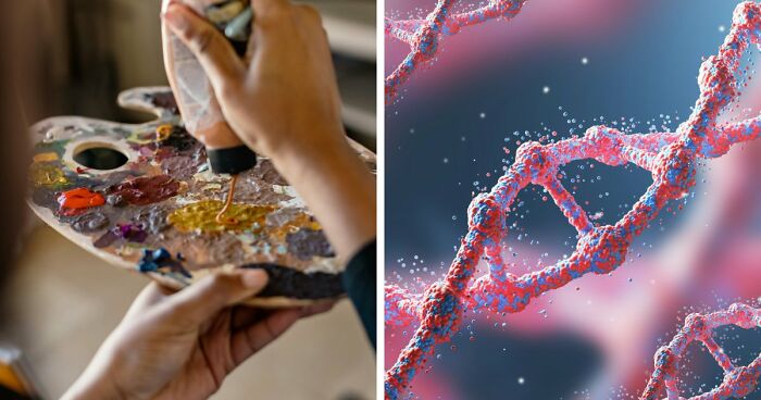 University College London Study Faces Scrutiny After Claiming Arts Lovers May Be Biologically A Year Younger Than Others