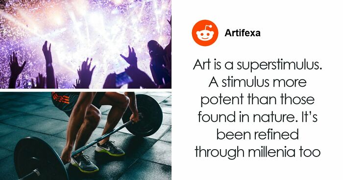 University College London Study Faces Scrutiny After Claiming Arts Lovers May Be Biologically A Year Younger Than Others