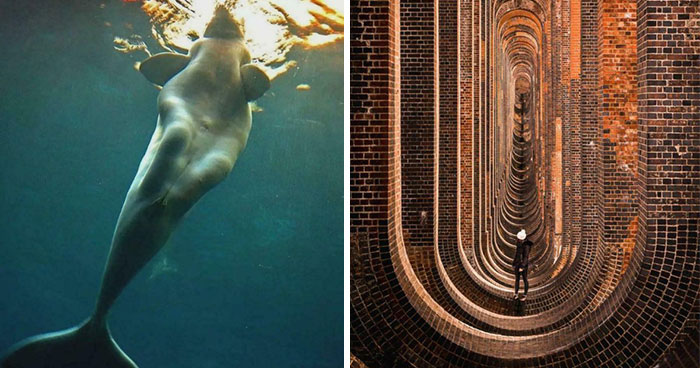 These 78 People Captured Visual Gold That They Just Had To Share With The Internet (New Pics)