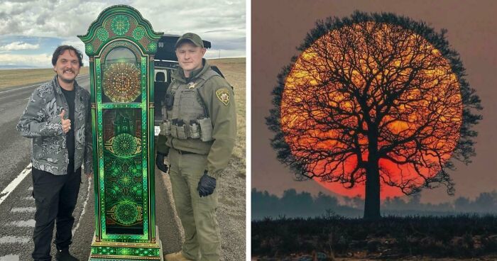 These 78 People Captured Visual Gold That They Just Had To Share With The Internet (New Pics)