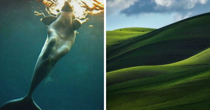 These 78 People Captured Visual Gold That They Just Had To Share With The Internet (New Pics)