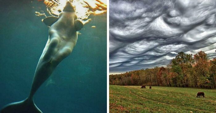 These 78 People Captured Visual Gold That They Just Had To Share With The Internet (New Pics)