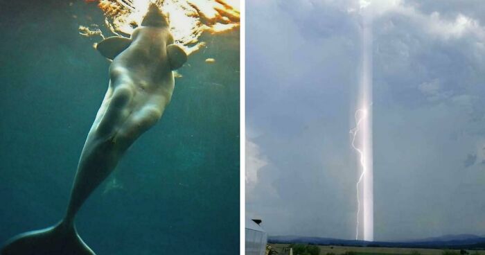 These 78 People Captured Visual Gold That They Just Had To Share With The Internet (New Pics)