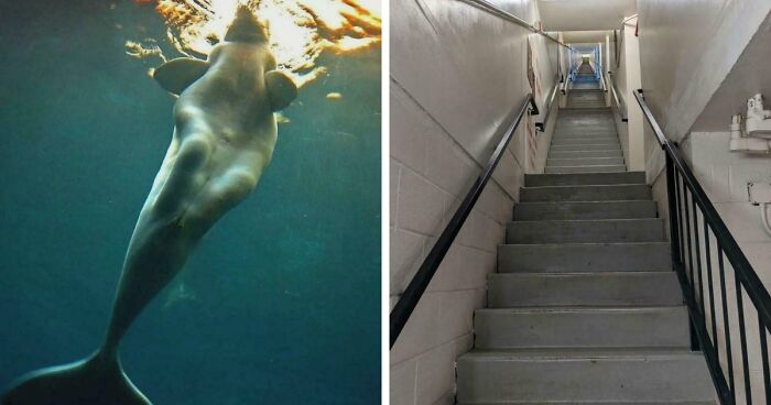 These 78 People Captured Visual Gold That They Just Had To Share With The Internet (New Pics)