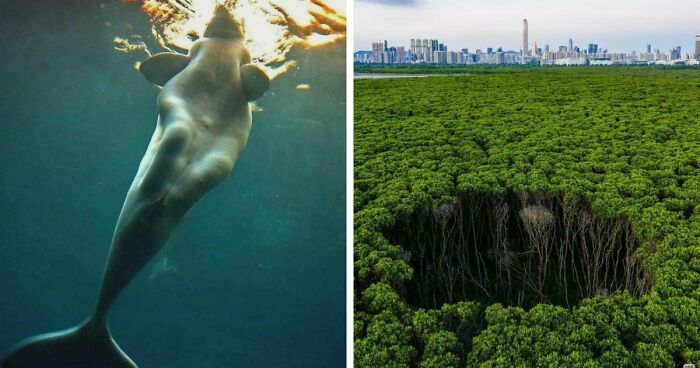 These 78 People Captured Visual Gold That They Just Had To Share With The Internet (New Pics)