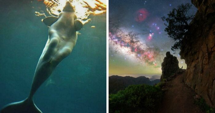 These 78 People Captured Visual Gold That They Just Had To Share With The Internet (New Pics)
