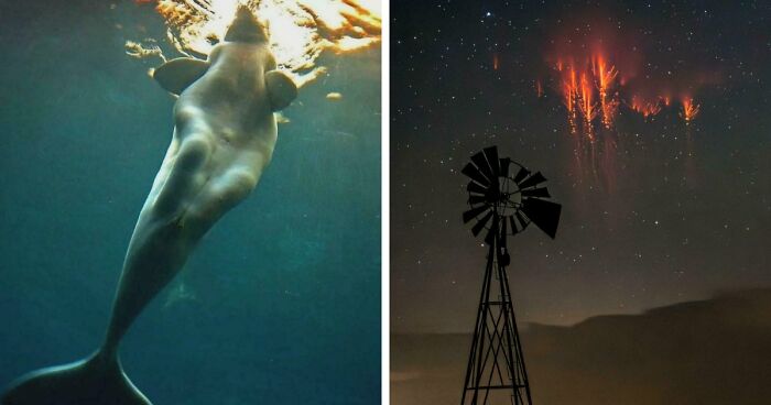 These 78 People Captured Visual Gold That They Just Had To Share With The Internet (New Pics)