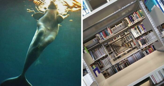 These 78 People Captured Visual Gold That They Just Had To Share With The Internet (New Pics)