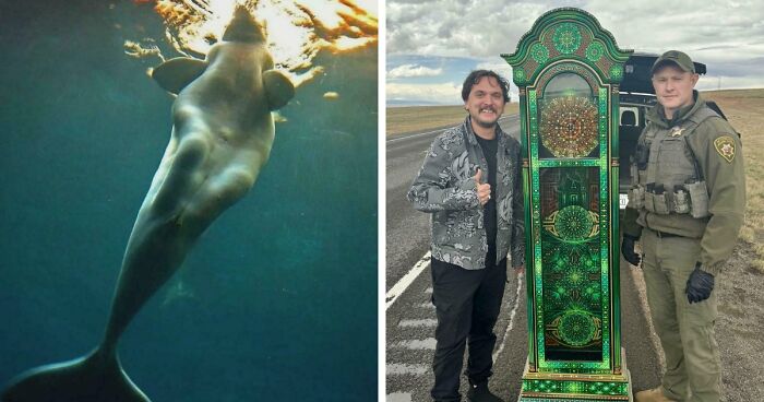These 78 People Captured Visual Gold That They Just Had To Share With The Internet (New Pics)