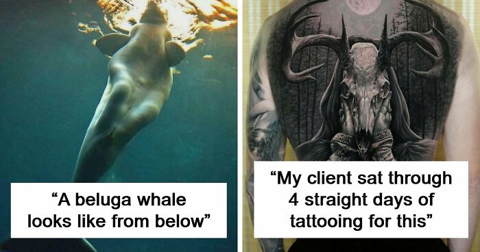 These 78 People Captured Visual Gold That They Just Had To Share With The Internet (New Pics)