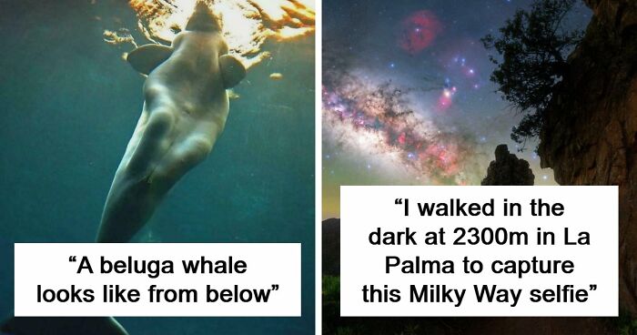 These 78 People Captured Visual Gold That They Just Had To Share With The Internet (New Pics)