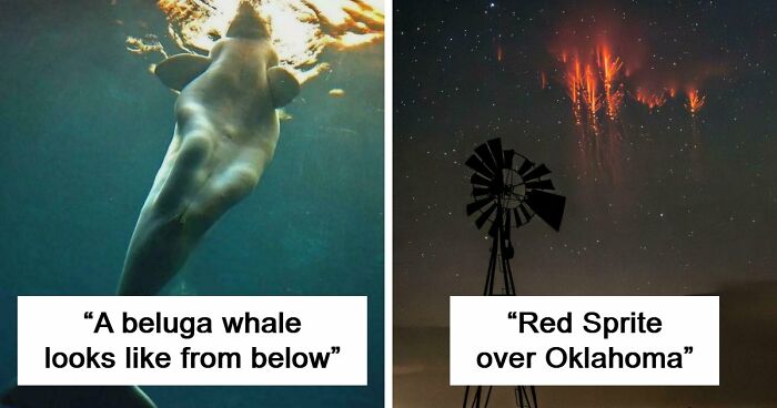 These 78 People Captured Visual Gold That They Just Had To Share With The Internet (New Pics)