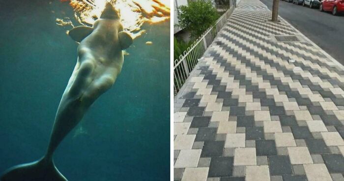 These 78 People Captured Visual Gold That They Just Had To Share With The Internet (New Pics)