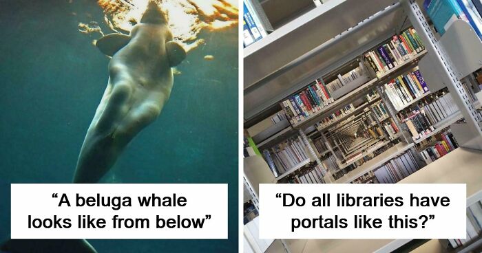 These 78 People Captured Visual Gold That They Just Had To Share With The Internet (New Pics)