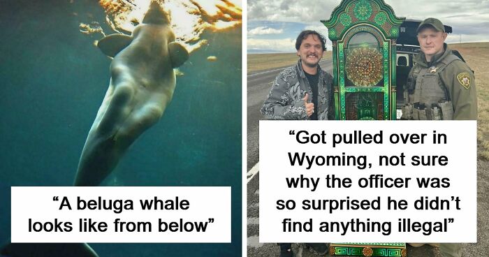 These 78 People Captured Visual Gold That They Just Had To Share With The Internet (New Pics)