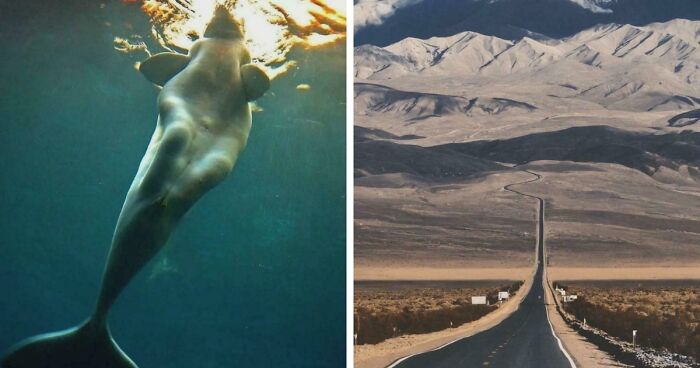 These 78 People Captured Visual Gold That They Just Had To Share With The Internet (New Pics)