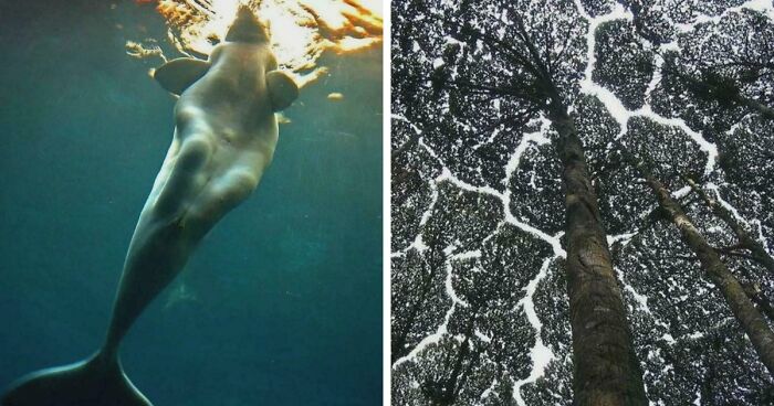 These 78 People Captured Visual Gold That They Just Had To Share With The Internet (New Pics)