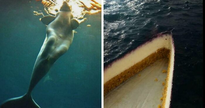 These 78 People Captured Visual Gold That They Just Had To Share With The Internet (New Pics)