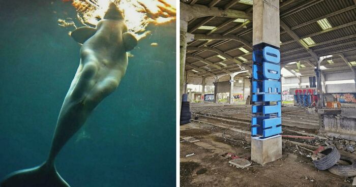 These 78 People Captured Visual Gold That They Just Had To Share With The Internet (New Pics)
