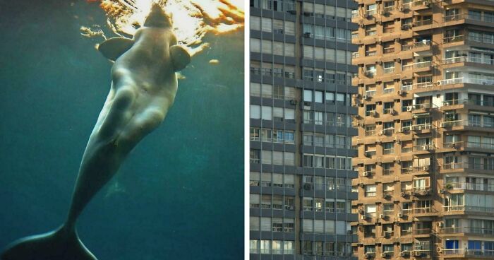 These 78 People Captured Visual Gold That They Just Had To Share With The Internet (New Pics)