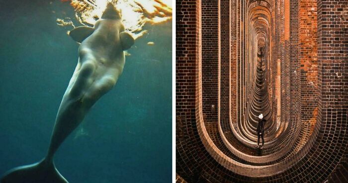 These 78 People Captured Visual Gold That They Just Had To Share With The Internet (New Pics)