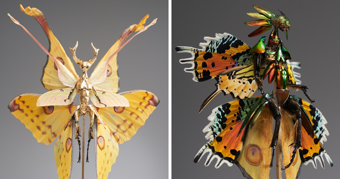 Amsterdam-Based Artist Creates Surreal Sculptures Inspired By Fairies, Flowers, Skeletons, And Insects (33 Pics)