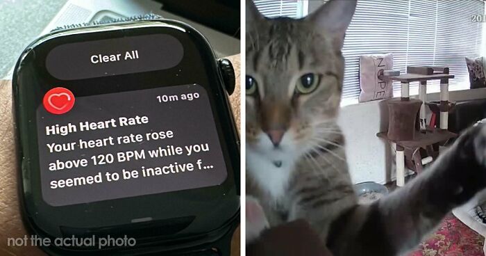 A Woman Went Viral For Catching Her BF Cheating Via A Smart Scale, 20 People Share Similar Stories
