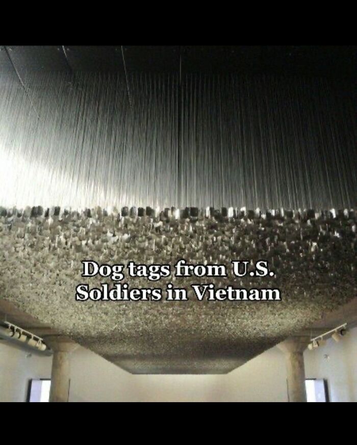 Ceiling installation of dog tags from U.S. soldiers in Vietnam Vietnam dog tags display